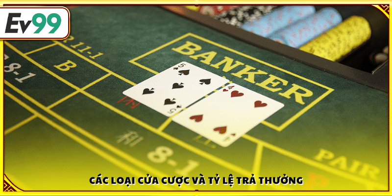 Những cửa đặt cược phổ biến 