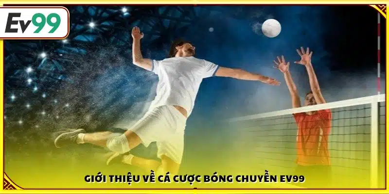 Cá cược bóng chuyền Ev99 hấp dẫn