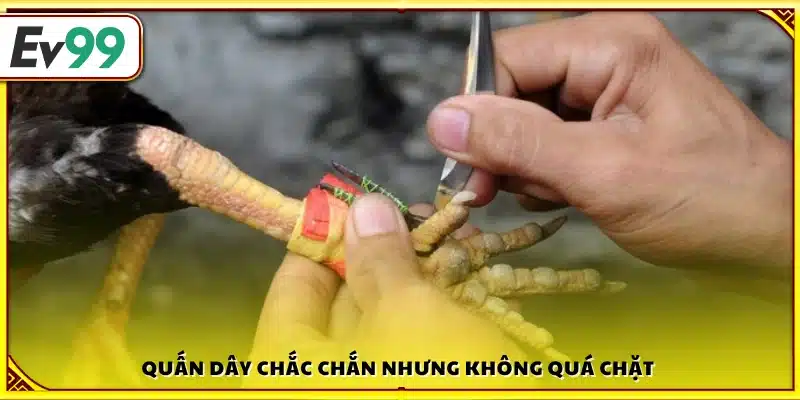Quấn dây vững chắc mà không gây khó chịu