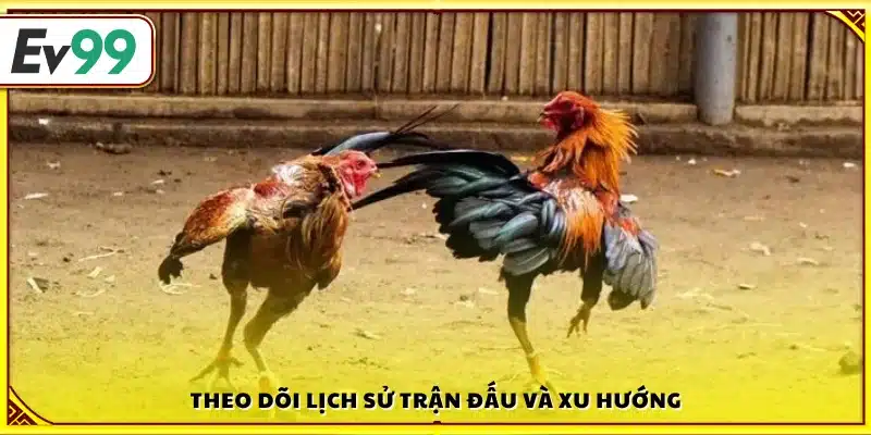 Xem lại kết quả các trận trước và phân tích 